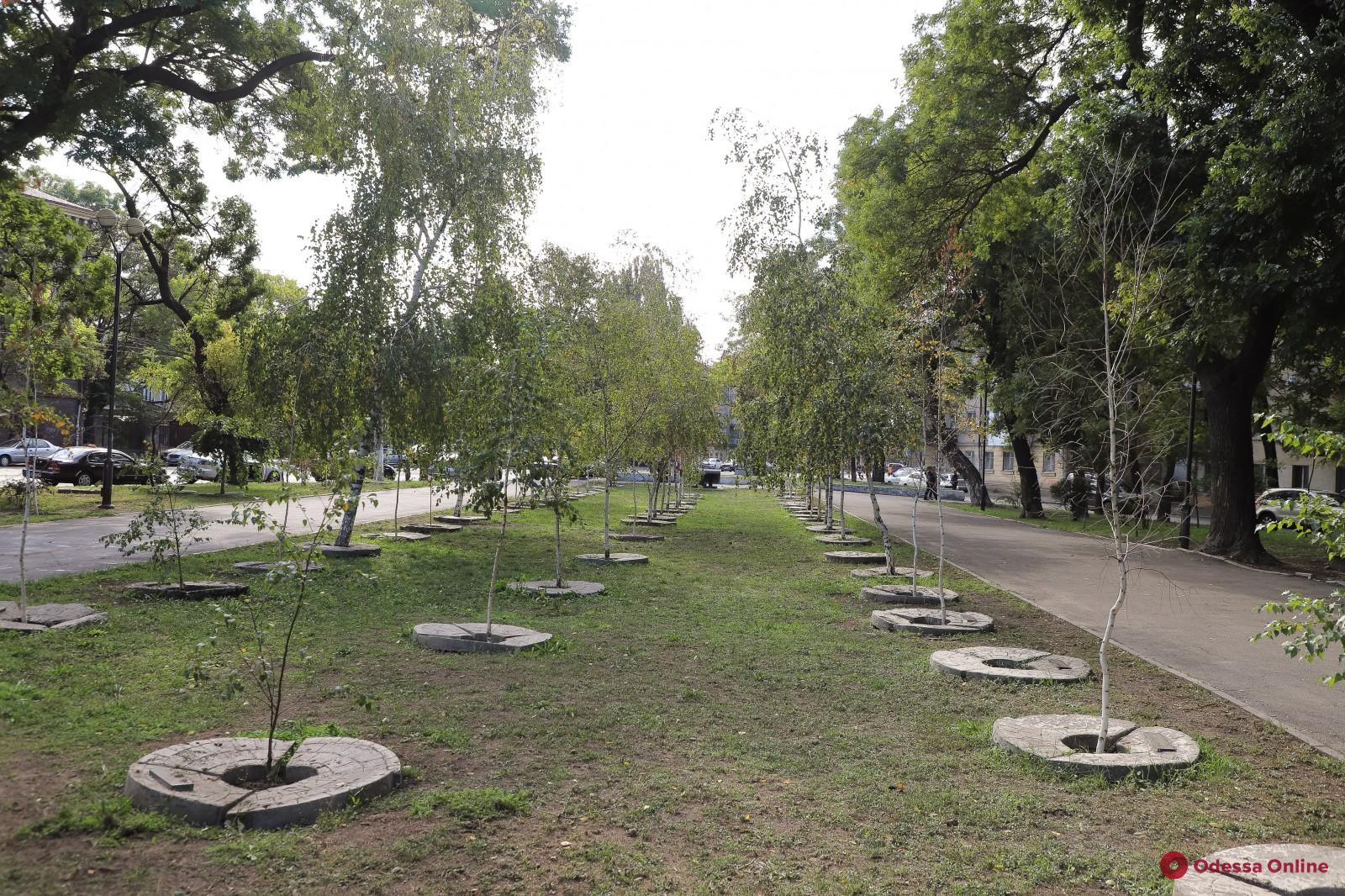 В Прохоровском сквере планируют построить музей Холокоста