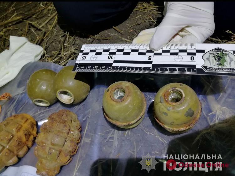 В Одесской области нашли схрон с оружием и боеприпасами