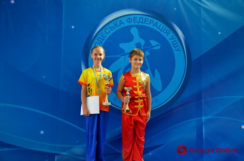 В Одессе состоялся Открытый Кубок области по спортивному ушу