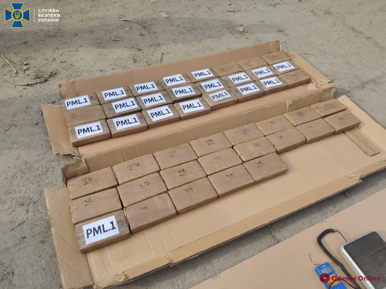 В порту «Южный» СБУ перехватила 50 килограммов кокаина