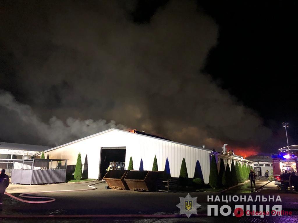 Полицейские расследуют обстоятельства масштабного пожара на заводе в Фонтанке
