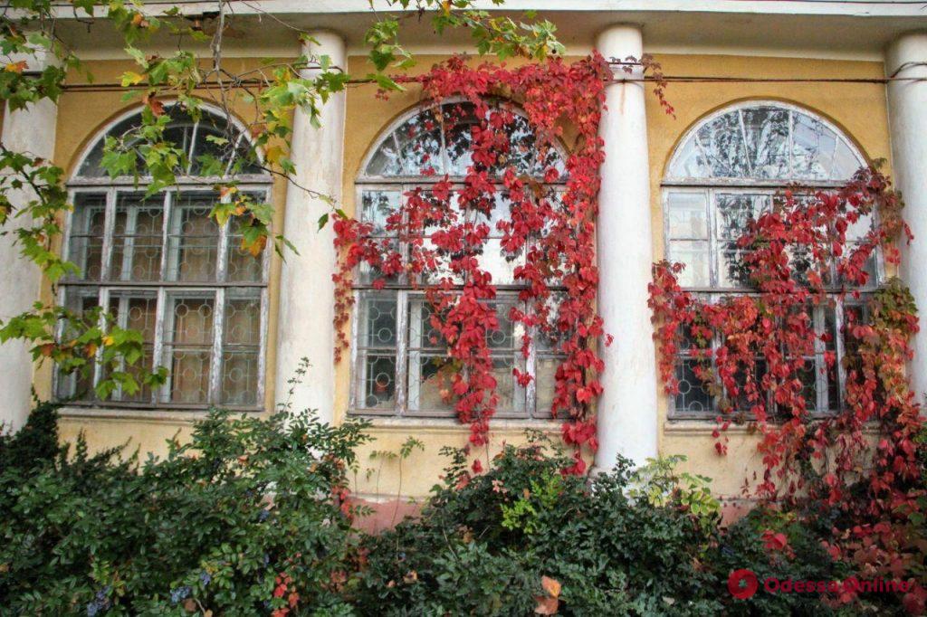 Осенняя палитра в ботсаду Одесского университета (фоторепортаж)