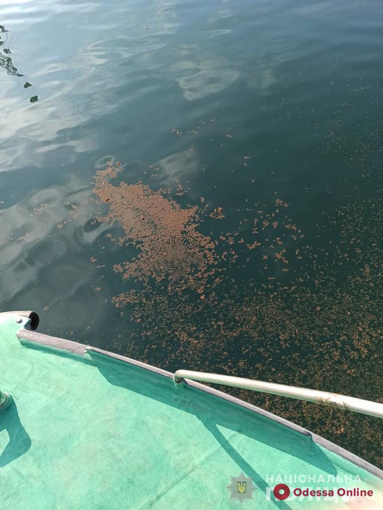 Полиция расследует факт загрязнения моря нефтепродуктами в Черноморске