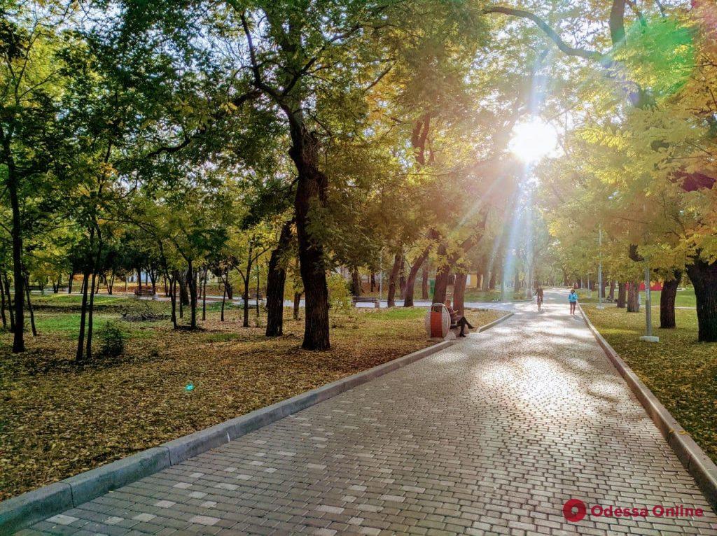 Золотая осень в Одессе: красота солнечного ноября (фоторепортаж)