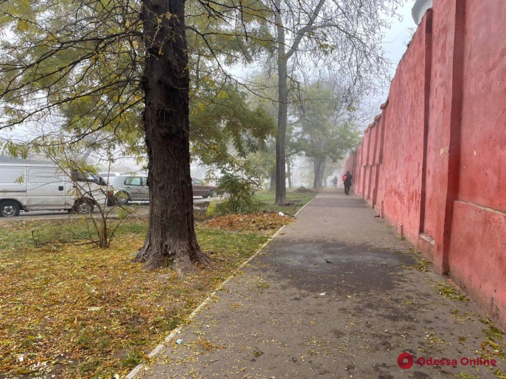 Одесса погрузилась в густой туман (фото)