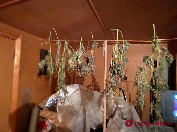 Под Одессой полиция «накрыла» нарколабораторию