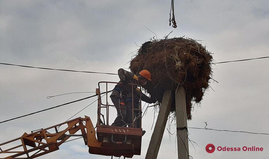 В Одесской области установили 26 платформ для гнезд аистов (фото)