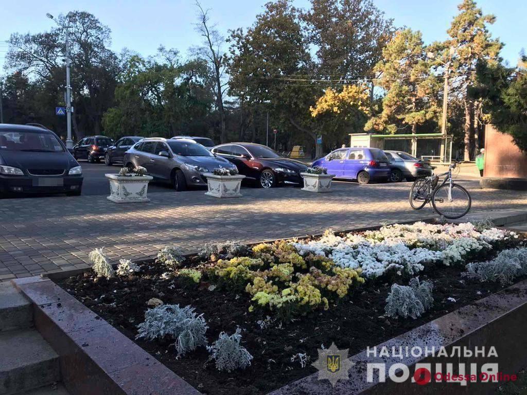 Воровали декоративные растения на Аллее Славы: одесские полицейские разыскали лжекоммунальщиков