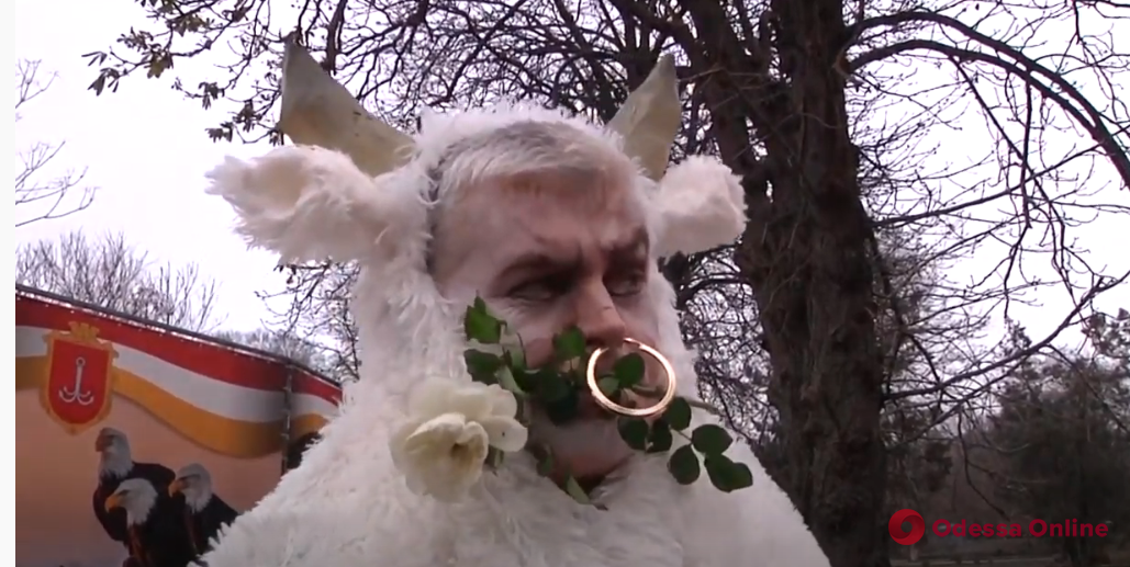 Долгожданная премьера: Одесский зоопарк выпустил новогодний клип (видео)