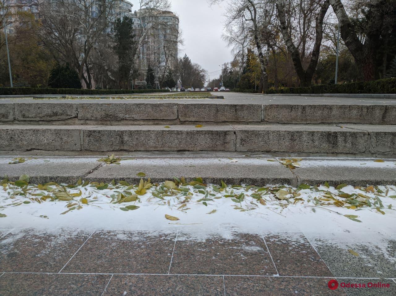 Таки зима: в Одессе выпал «несерьезный» снег (фото, обновлено)
