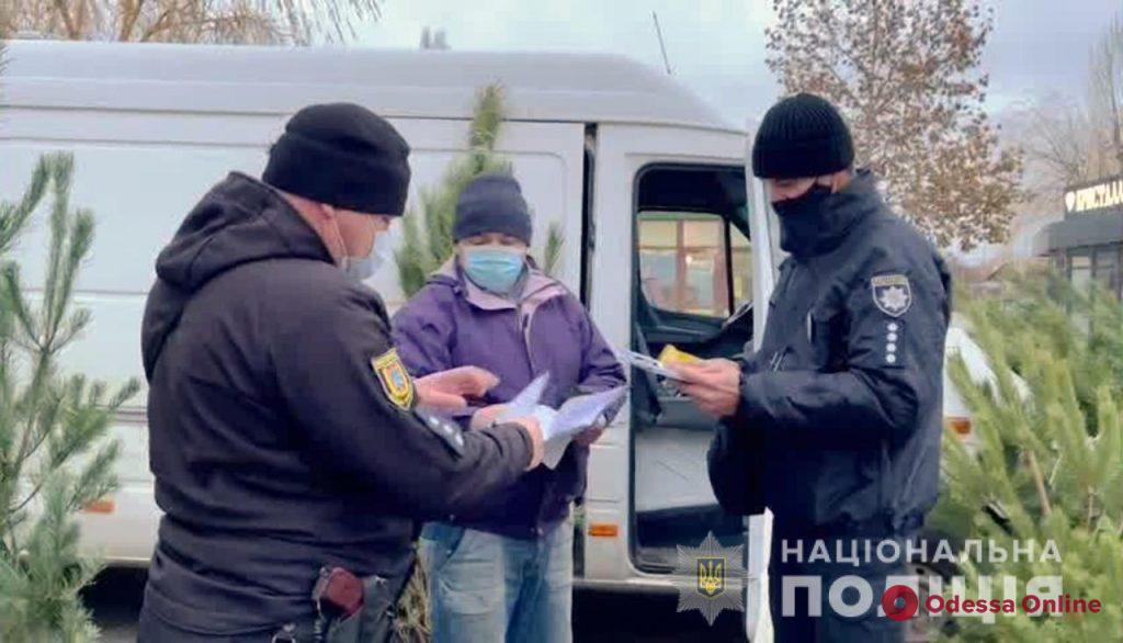 Одесские полицейские пришли с проверками на елочные базары