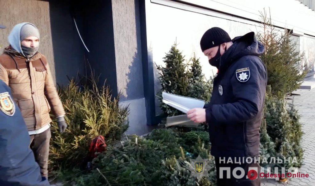 Одесские полицейские пришли с проверками на елочные базары