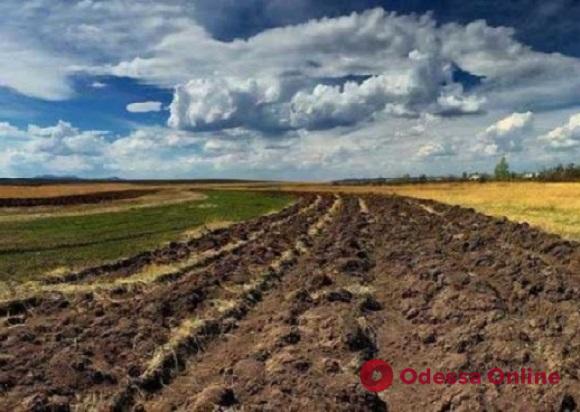 В Одесской области предпринимателя подозревают в захвате 100 гектаров земли
