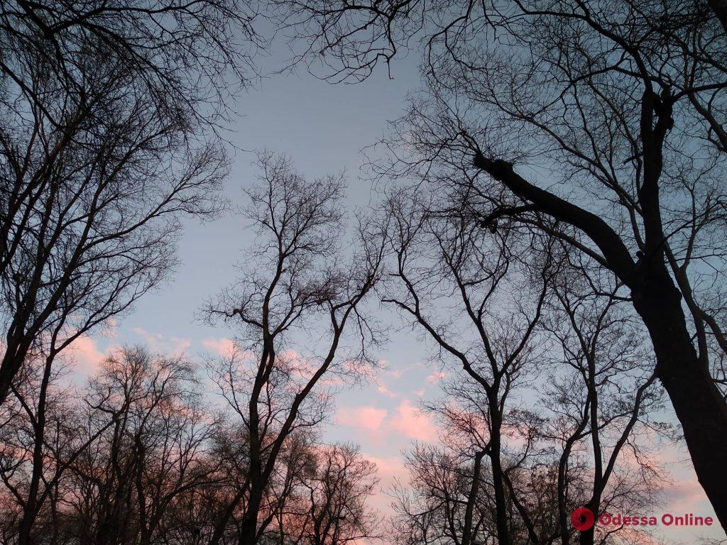 В первый день нового года одесситов порадовали «зефирные» облака (фото)