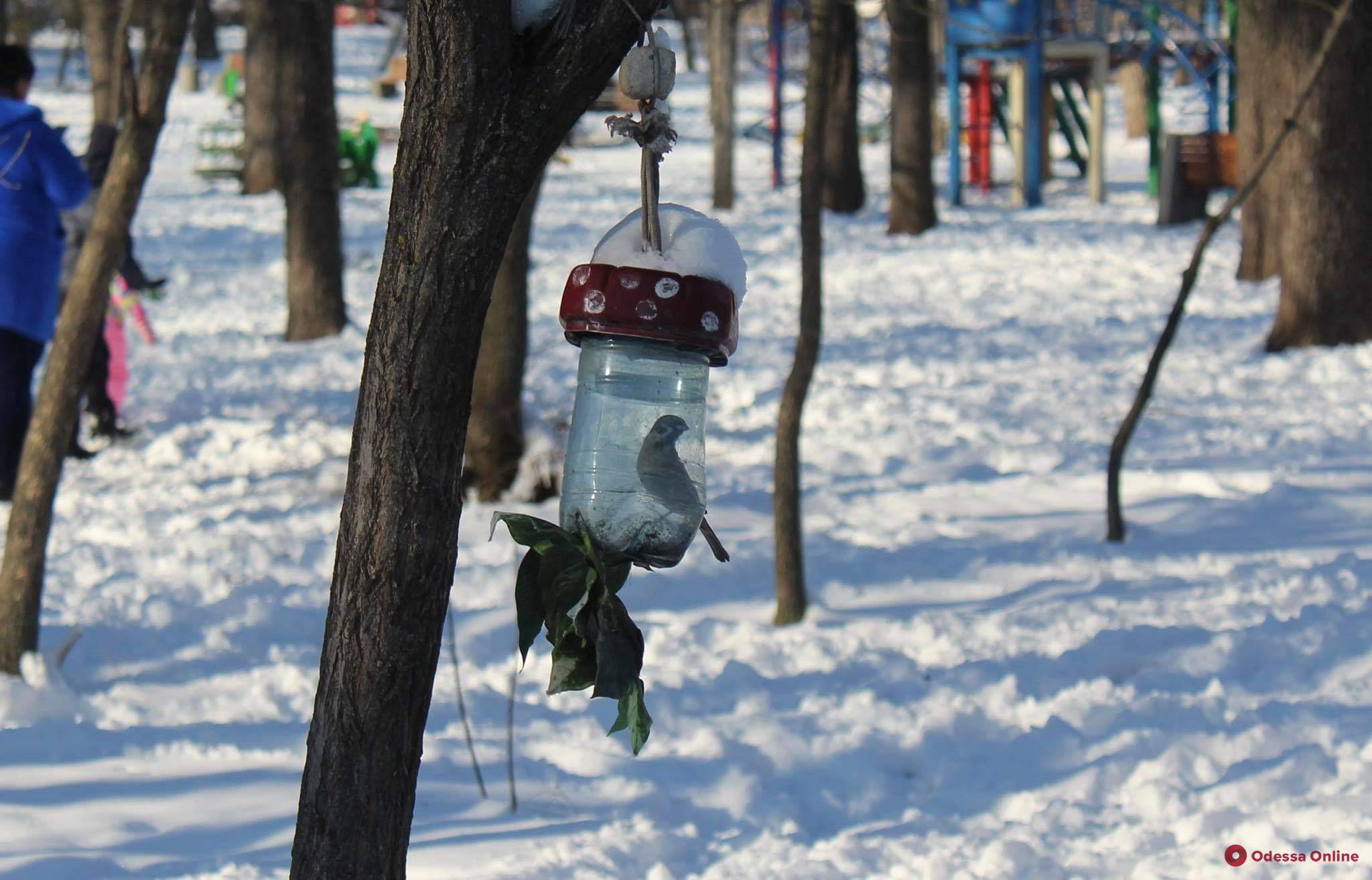 Погода в Одессе 18 января: гололедица, днем ожидается до -8°С