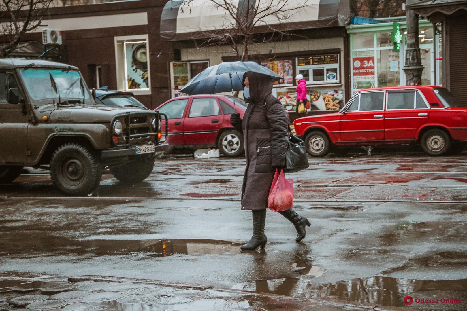 Дождливый и теплый январь в Одессе (фоторепортаж)