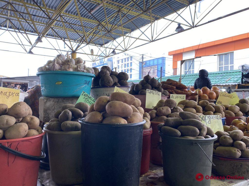 Пастернак, крылья ската и всё для кути: воскресные цены на одесском «Привозе»