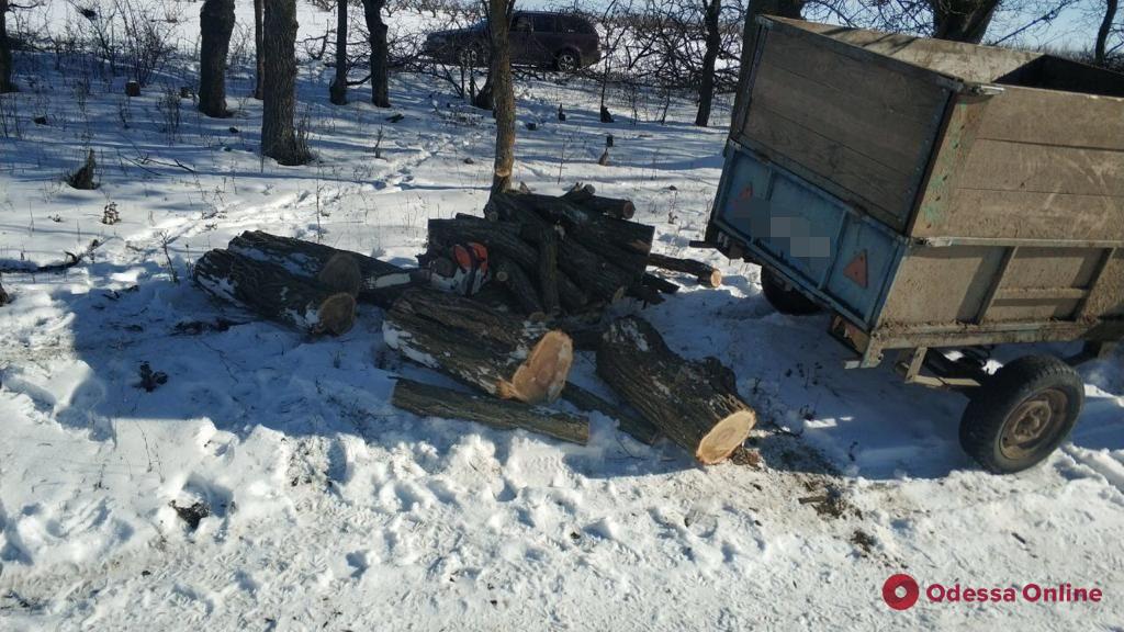 В Одесской области сгорел автомобиль «черных» лесорубов