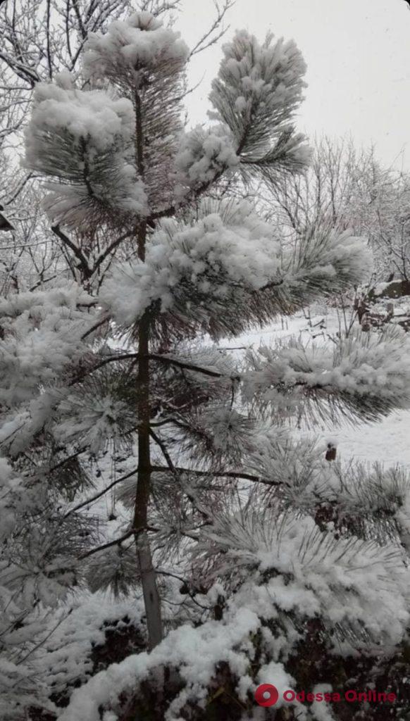 На юге Одесской области выпал снег (фото, видео)