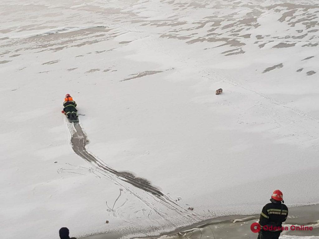 В Одесской области спасатели из ледяных ловушек освободили двух лебедей