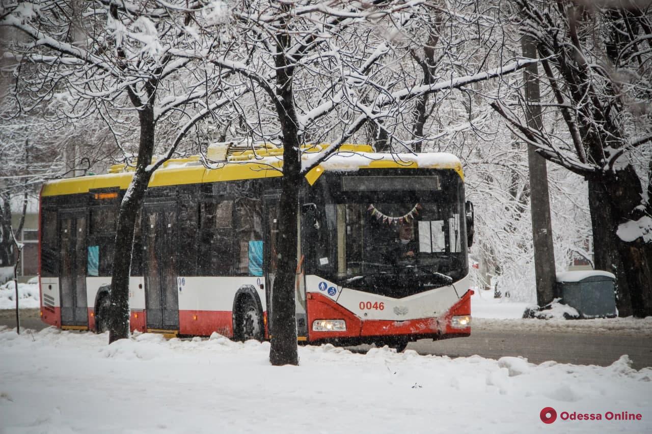 В Одессе упавшее дерево на несколько часов парализовало движение троллейбусов по двум маршрутам