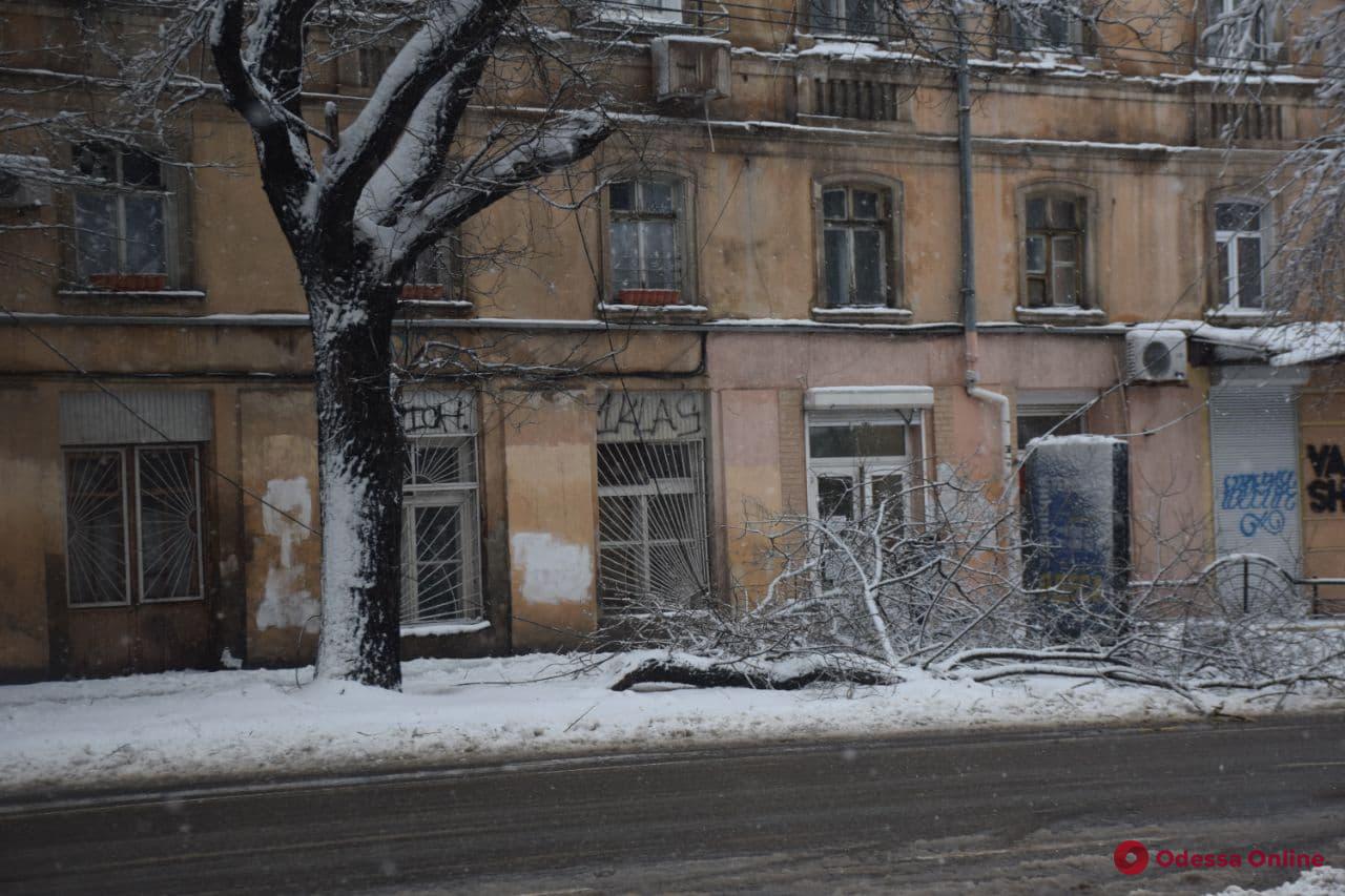 В Одессе из-за непогоды повалены 473 дерева и ветки, оборваны свыше сотни сетей