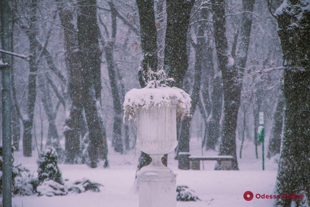 Снежная сказка в Преображенском парке (фоторепортаж)