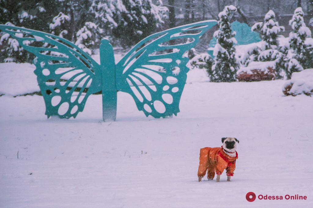 Снежная сказка в Преображенском парке (фоторепортаж)