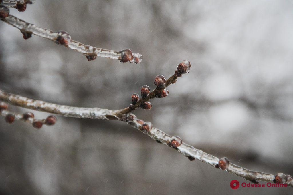 Сосульки и гололедица: одесситы привыкают к настоящей зиме (фоторепортаж)