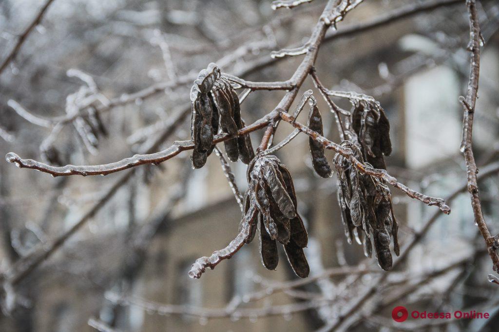 Сосульки и гололедица: одесситы привыкают к настоящей зиме (фоторепортаж)