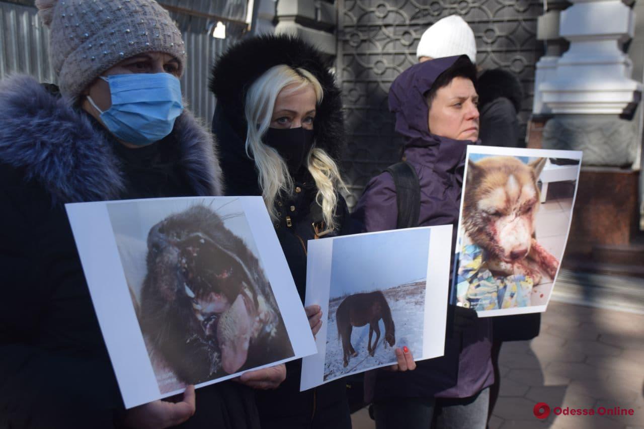 Одесские зоозащитники устроили митинг под зданием облуправления полиции (фото)