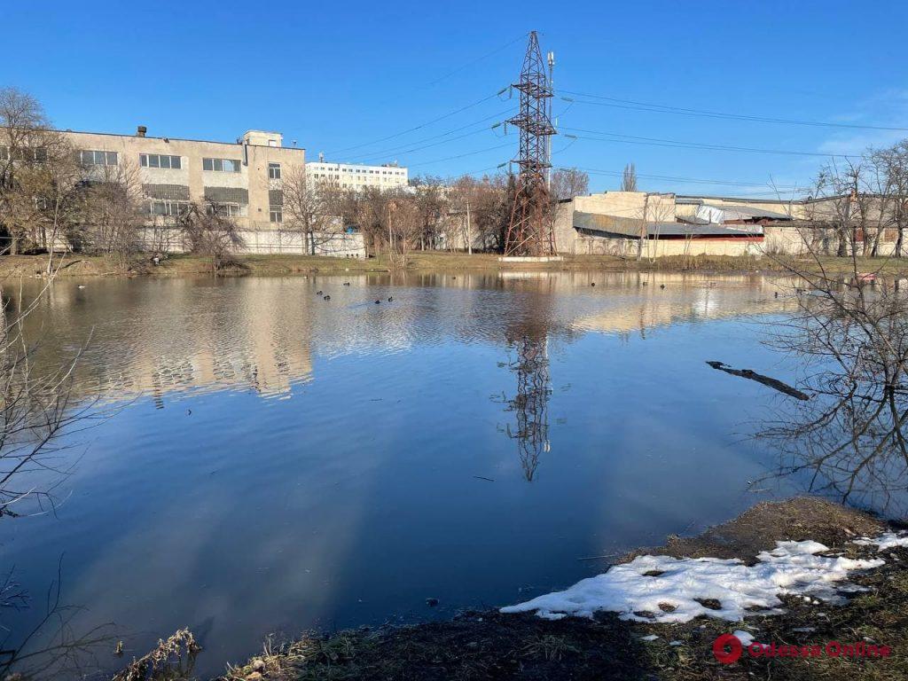 Последствия непогоды: пруд в парке Савицкого вышел из берегов (фотофакт)