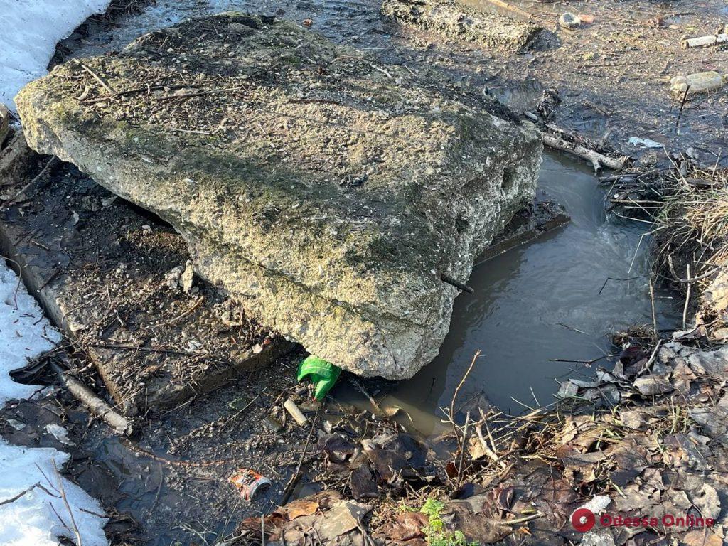 Последствия непогоды: пруд в парке Савицкого вышел из берегов (фотофакт)