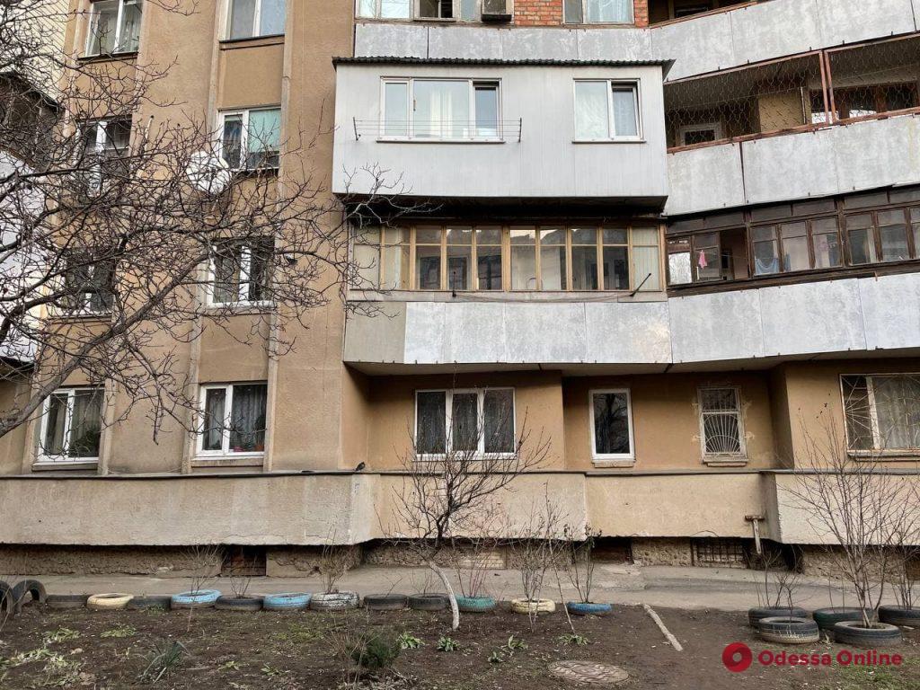 В Одессе собака выпала с третьего этажа многоэтажки