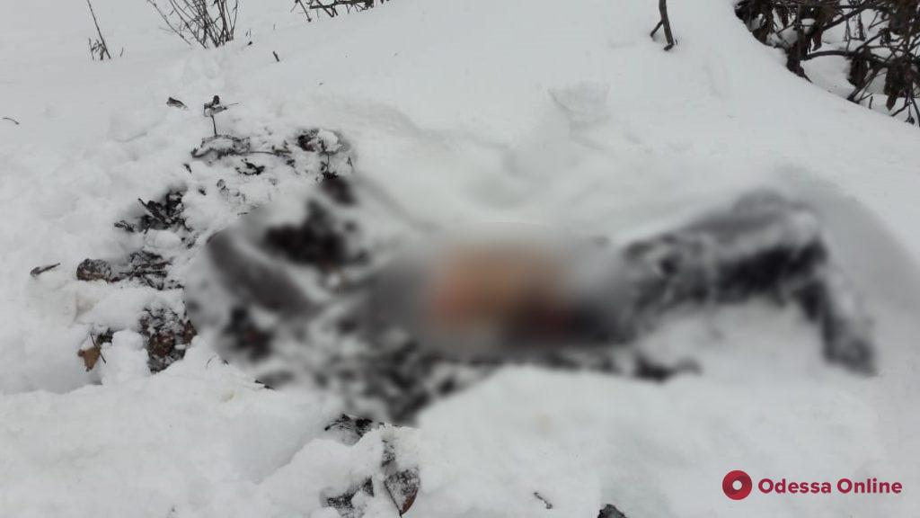 Избил до смерти и спрятал тело на кладбище: в Одесской области задержали убийцу