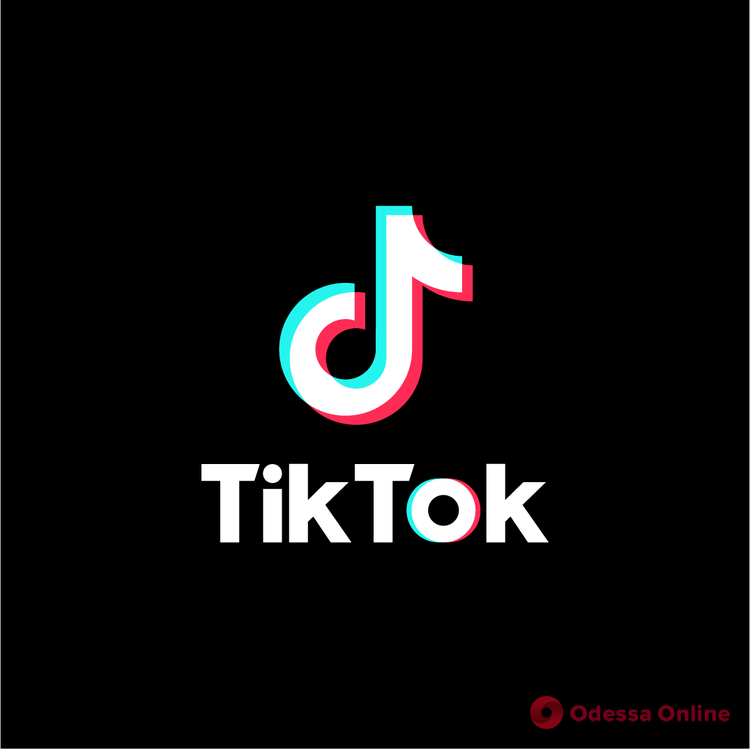 В Украине родители школьников собирают подписи в поддержку запрета соцсети TikTok