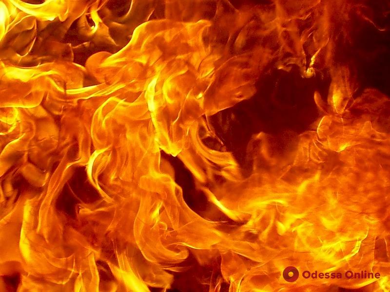 Под Одессой при пожаре погиб пенсионер