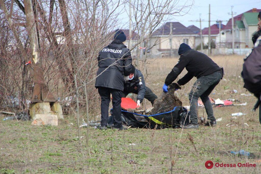 Одесса: в районе Червоного Хутора нашли человеческие останки (фото, видео, обновлено)