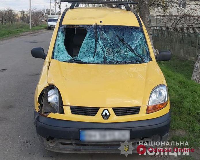 В Одесской области Renault Kangoo сбил мужчину – пострадавший в тяжелом состоянии