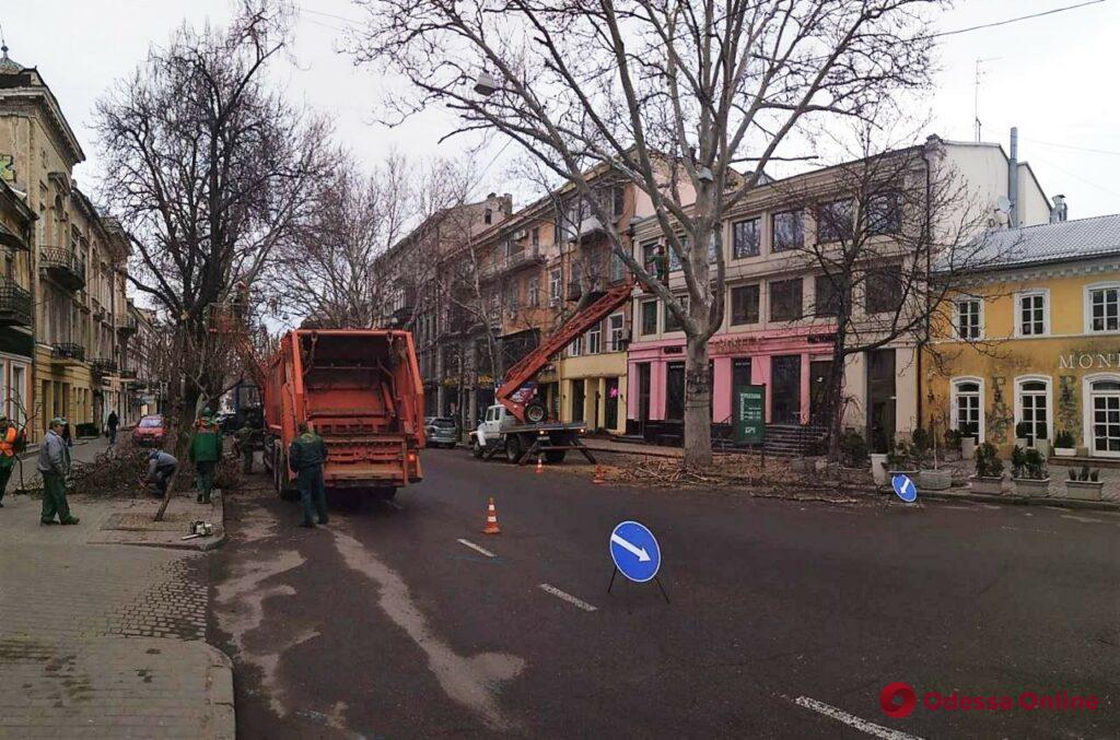 На Екатерининской из-за обрезки деревьев затруднено движение транспорта