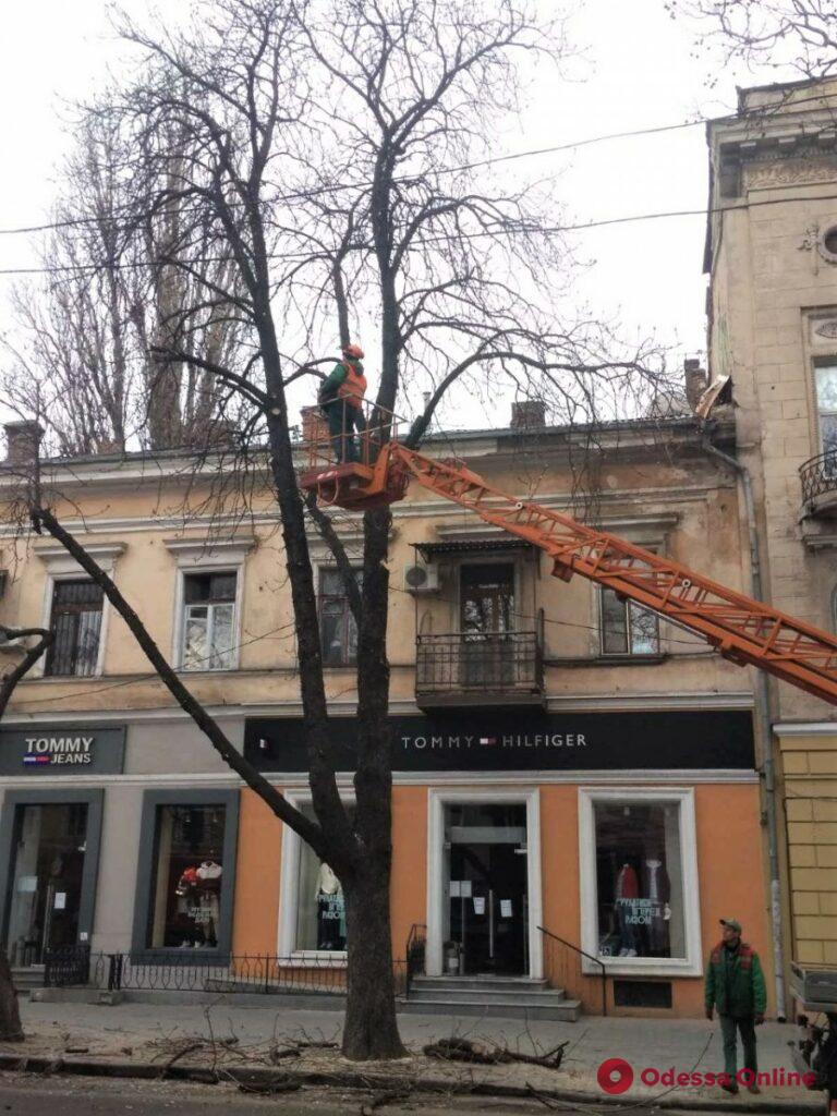На Екатерининской из-за обрезки деревьев затруднено движение транспорта