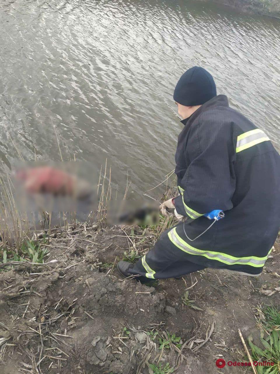 В Одесской области из оросительного канала достали тело утопленника