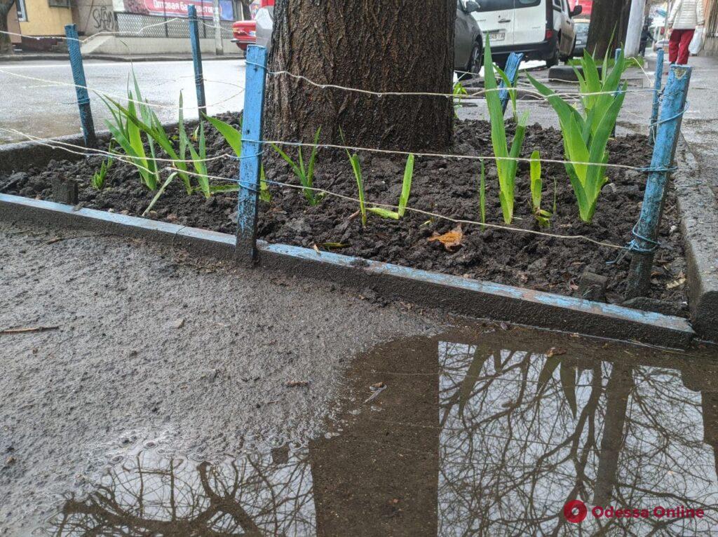 Дождливая Одесса: апрель не спешит радовать теплом (фоторепортаж)