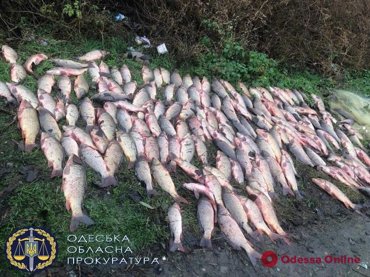 Улов на 600 тысяч: в Белгород-Днестровском районе будут судить браконьера (фото)