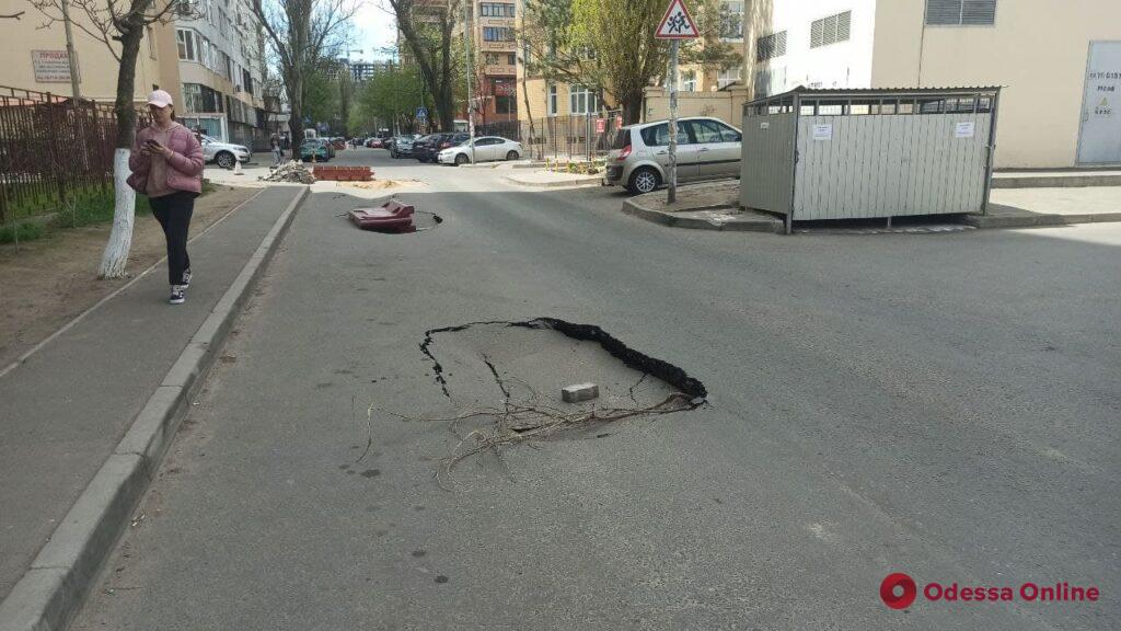 В районе улицы Маршала Говорова на участке дороги образовались провалы