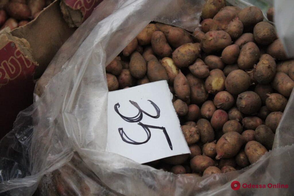 Молодой картофель, яблоки и клубника: воскресные цены на одесском «Привозе»