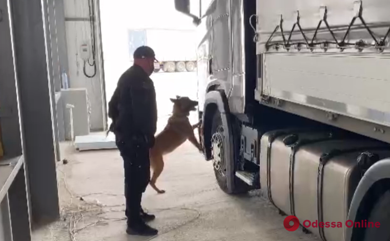 В Одесской области служебная собака нашла около 500 пачек сигарет