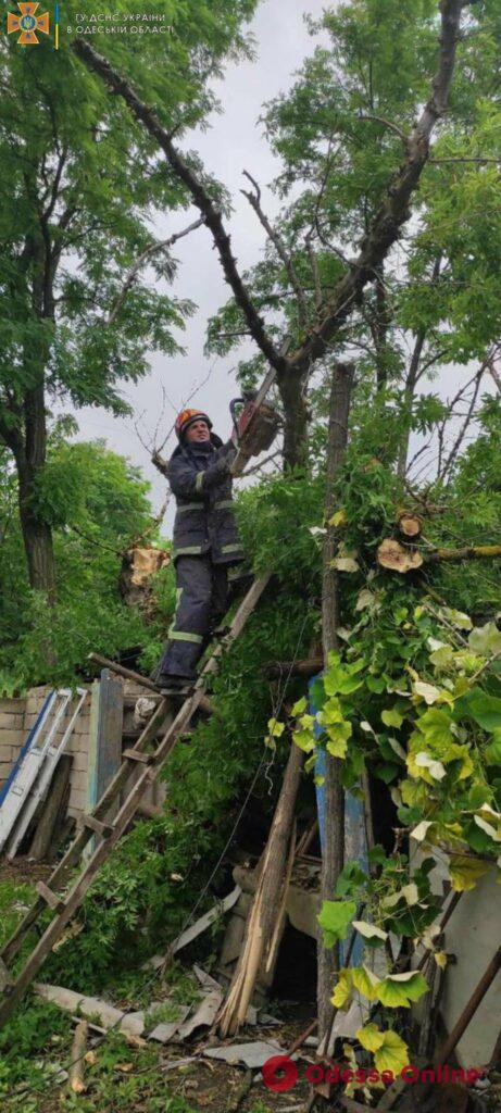 В Одесской области дерево рухнуло на частный дом
