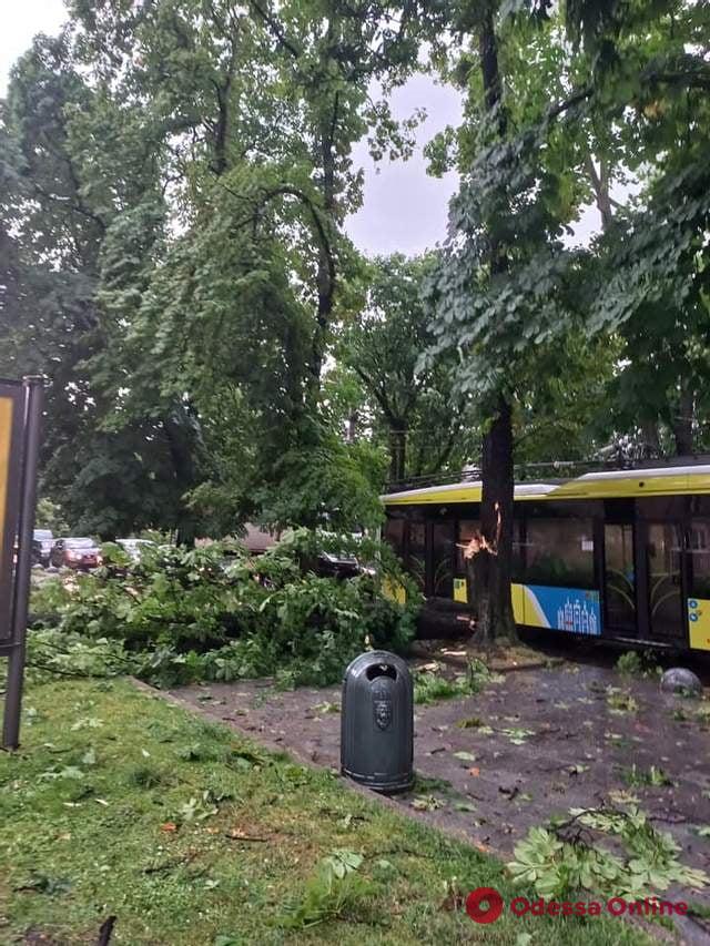 Непогода в Восточной Европе: торнадо разрушил несколько сел в Чехии, «досталось» также и украинскому Львову (фото, видео)