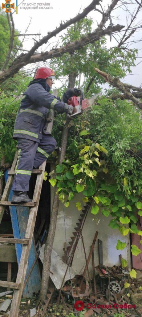 В Одесской области дерево рухнуло на частный дом